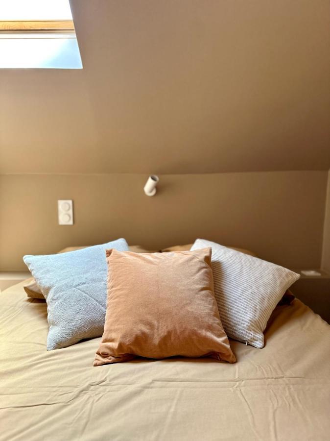 Ecrin De Calme Avec Terrasse Apartment Chambery Bagian luar foto